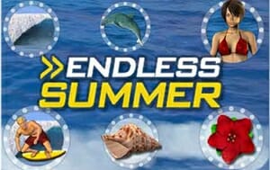 endless-summer-logo