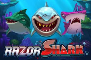 Razor Shark Logo