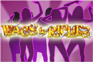wags-to-riches-logo